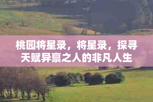 桃园将星录，将星录，探寻天赋异禀之人的非凡人生