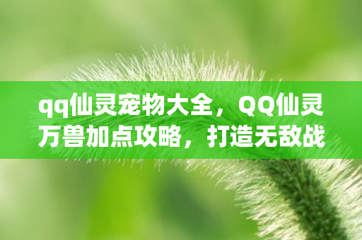 qq仙灵宠物大全，QQ仙灵万兽加点攻略，打造无敌战斗猛兽
