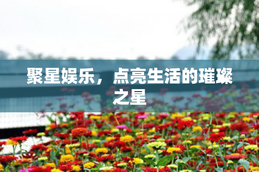聚星娱乐，点亮生活的璀璨之星
