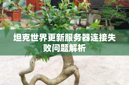 坦克世界更新服务器连接失败问题解析