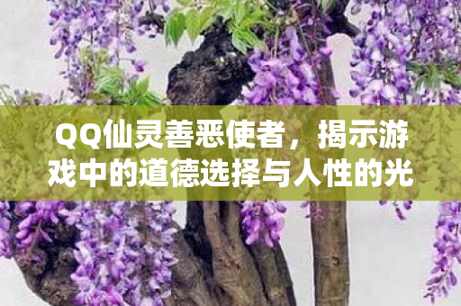 QQ仙灵善恶使者,揭示游戏中的道德选择与人性的光辉与阴暗 QQ仙灵善恶使者,揭示游戏中的道德选择与人性的光辉与阴暗