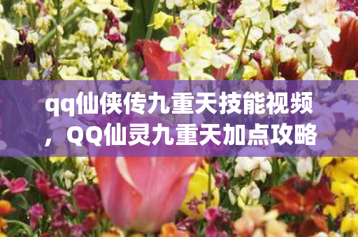qq仙侠传九重天技能视频,QQ仙灵九重天加点攻略 qq仙侠传九重天技能视频,QQ仙灵九重天加点攻略
