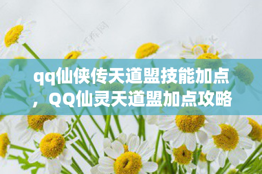 qq仙侠传天道盟技能加点，QQ仙灵天道盟加点攻略