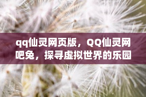 qq仙灵网页版，QQ仙灵网吧兔，探寻虚拟世界的乐园