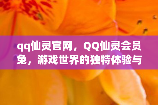 qq仙灵官网，QQ仙灵会员兔，游戏世界的独特体验与特权之旅