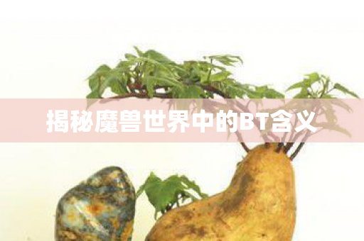 揭秘魔兽世界中的BT含义