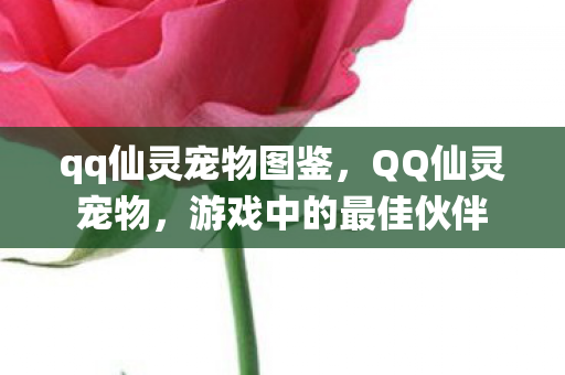 qq仙灵宠物图鉴，QQ仙灵宠物，游戏中的最佳伙伴