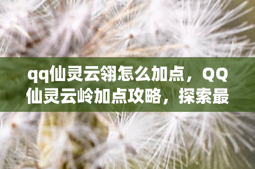 qq仙灵云翎怎么加点，QQ仙灵云岭加点攻略，探索最佳属性分配方案