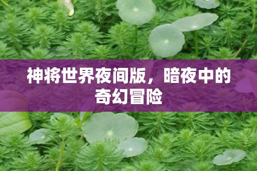 神将世界夜间版,暗夜中的奇幻冒险 神将世界夜间版,暗夜中的奇幻冒险