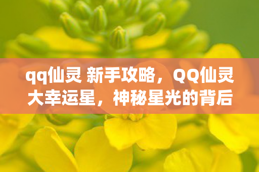 qq仙灵 新手攻略，QQ仙灵大幸运星，神秘星光的背后故事