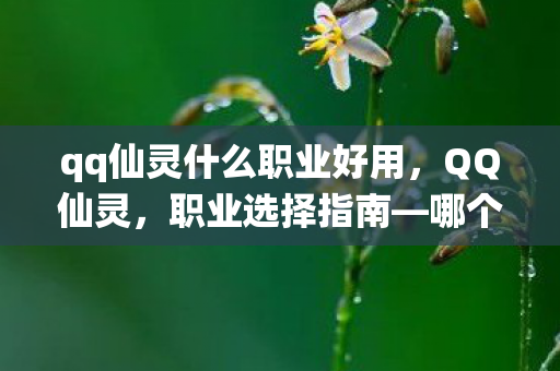 qq仙灵什么职业好用，QQ仙灵，职业选择指南—哪个职业更适合你？