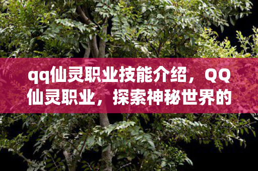 qq仙灵职业技能介绍，QQ仙灵职业，探索神秘世界的最佳伙伴