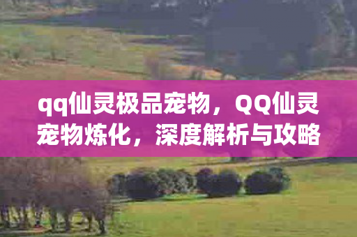qq仙灵极品宠物，QQ仙灵宠物炼化，深度解析与攻略