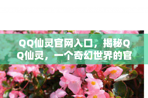 QQ仙灵官网入口，揭秘QQ仙灵，一个奇幻世界的官网探索