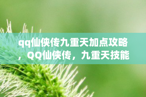qq仙侠传九重天加点攻略,QQ仙侠传,九重天技能加点攻略 qq仙侠传九重天加点攻略,QQ仙侠传,九重天技能加点攻略