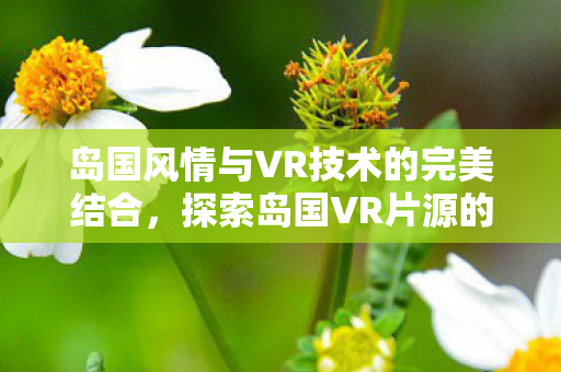 岛国风情与VR技术的完美结合,探索岛国VR片源的魅力 岛国风情与VR技术的完美结合,探索岛国VR片源的魅力