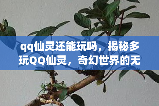 qq仙灵还能玩吗,揭秘多玩QQ仙灵,奇幻世界的无尽魅力 qq仙灵还能玩吗,揭秘多玩QQ仙灵,奇幻世界的无尽魅力