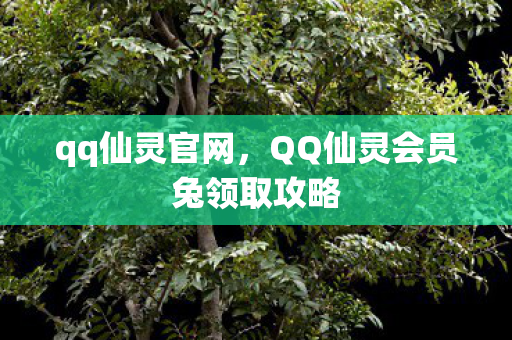 qq仙灵官网,QQ仙灵会员兔领取攻略 qq仙灵官网,QQ仙灵会员兔领取攻略