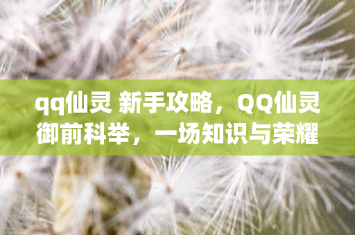 qq仙灵 新手攻略,QQ仙灵御前科举,一场知识与荣耀的盛宴 qq仙灵 新手攻略,QQ仙灵御前科举,一场知识与荣耀的盛宴