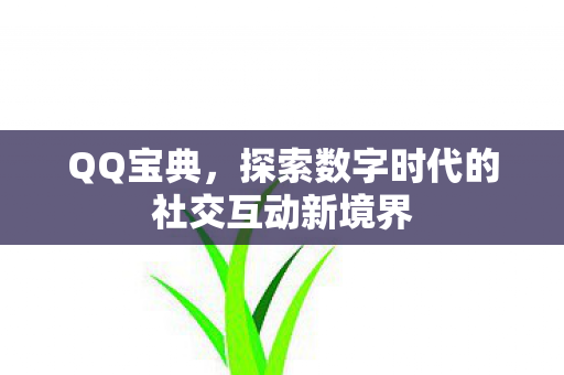 QQ宝典，探索数字时代的社交互动新境界