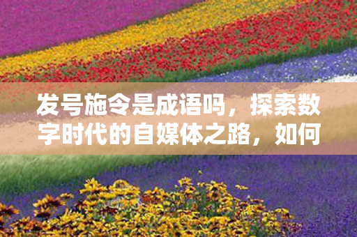 发号施令是成语吗，探索数字时代的自媒体之路，如何成功发号并实现影响力倍增