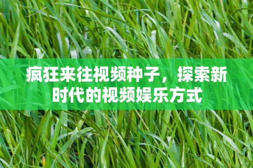 疯狂来往视频种子，探索新时代的视频娱乐方式