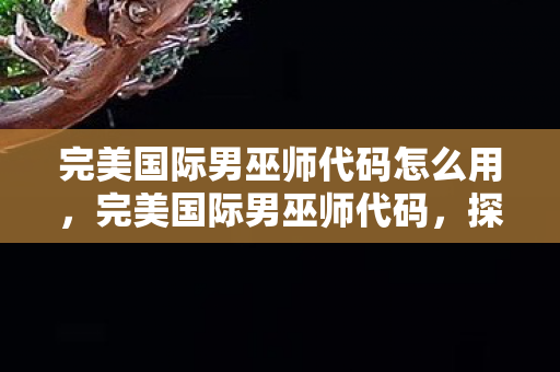 完美国际男巫师代码怎么用,完美国际男巫师代码,探寻神秘力量的奥秘 完美国际男巫师代码怎么用,完美国际男巫师代码,探寻神秘力量的奥秘