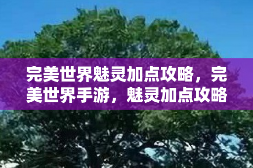 完美世界魅灵加点攻略，完美世界手游，魅灵加点攻略大揭秘