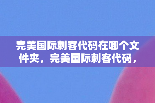 完美国际刺客代码在哪个文件夹，完美国际刺客代码，揭秘神秘职业背后的秘密