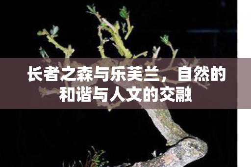 长者之森与乐芙兰，自然的和谐与人文的交融