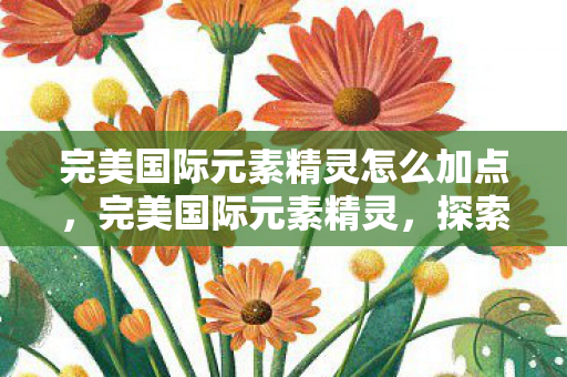 完美国际元素精灵怎么加点，完美国际元素精灵，探索奇幻世界的神秘力量