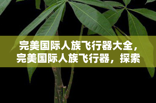 完美国际人族飞行器大全，完美国际人族飞行器，探索与解析