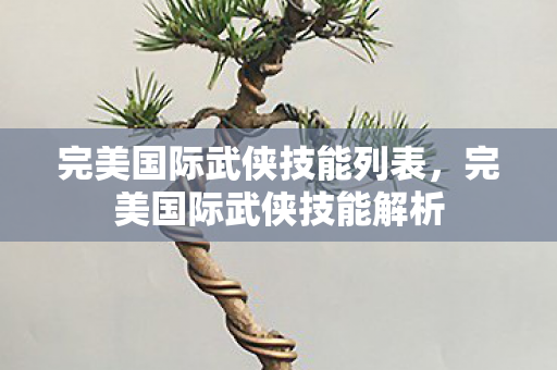 完美国际武侠技能列表，完美国际武侠技能解析