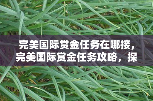 完美国际赏金任务在哪接,完美国际赏金任务攻略,探索丰厚奖励的秘诀 完美国际赏金任务在哪接,完美国际赏金任务攻略,探索丰厚奖励的秘诀