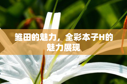 雏田的魅力，全彩本子H的魅力展现