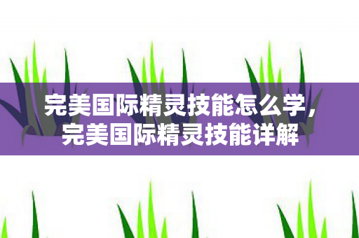 完美国际精灵技能怎么学，完美国际精灵技能详解