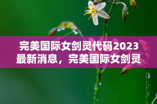 完美国际女剑灵代码2023最新消息,完美国际女剑灵代码揭秘与深度解析 完美国际女剑灵代码2023最新消息,完美国际女剑灵代码揭秘与深度解析