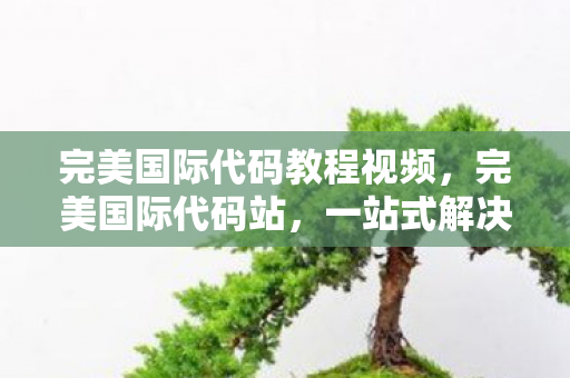 完美国际代码教程视频,完美国际代码站,一站式解决你的编程需求 完美国际代码教程视频,完美国际代码站,一站式解决你的编程需求