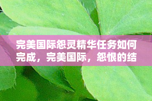 完美国际怨灵精华任务如何完成，完美国际，怨恨的结晶