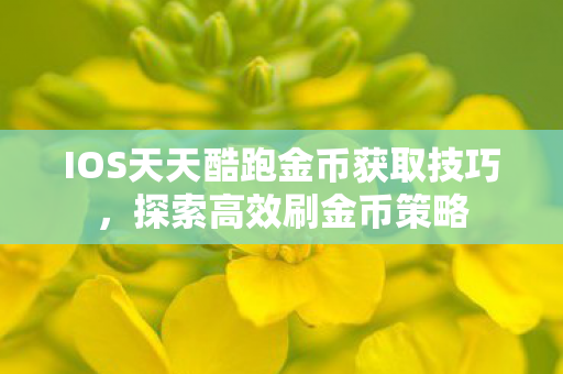 IOS天天酷跑金币获取技巧，探索高效刷金币策略