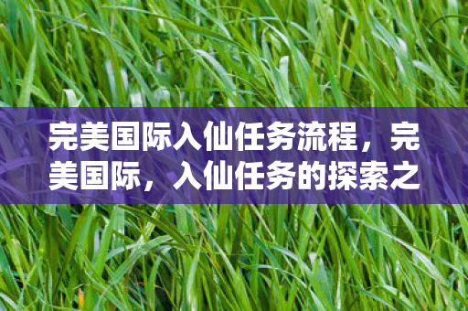 完美国际入仙任务流程，完美国际，入仙任务的探索之旅
