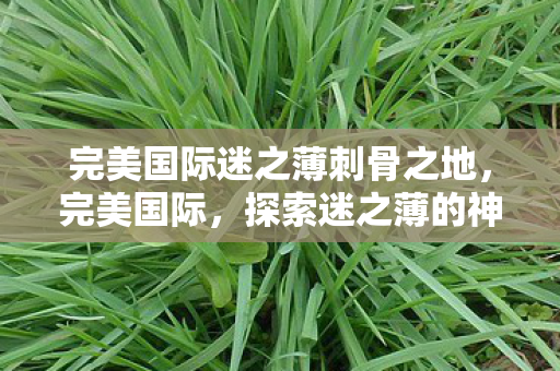 完美国际迷之薄刺骨之地,完美国际,探索迷之薄的神秘之旅 完美国际迷之薄刺骨之地,完美国际,探索迷之薄的神秘之旅