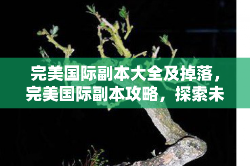 完美国际副本大全及掉落，完美国际副本攻略，探索未知世界的秘密之门