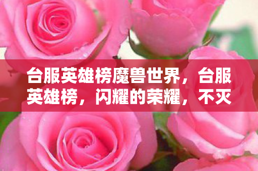 台服英雄榜魔兽世界，台服英雄榜，闪耀的荣耀，不灭的传奇