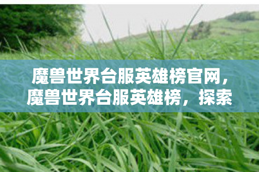 魔兽世界台服英雄榜官网，魔兽世界台服英雄榜，探索荣耀与传奇的殿堂