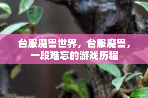 台服魔兽世界，台服魔兽，一段难忘的游戏历程