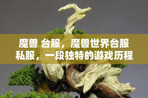 魔兽 台服，魔兽世界台服私服，一段独特的游戏历程