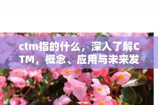 ctm指的什么，深入了解CTM，概念、应用与未来发展