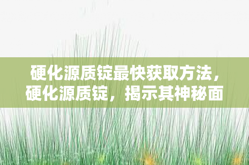 硬化源质锭最快获取方法,硬化源质锭,揭示其神秘面纱 硬化源质锭最快获取方法,硬化源质锭,揭示其神秘面纱