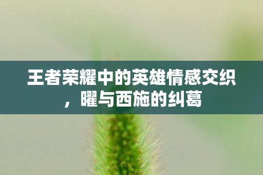 王者荣耀中的英雄情感交织,曜与西施的纠葛 王者荣耀中的英雄情感交织,曜与西施的纠葛